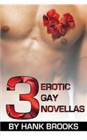 3 Erotic Gay Novellas