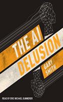 AI Delusion