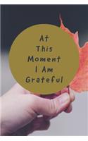 At This Moment I Am Grateful