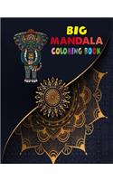 Big Mandala Coloring Book