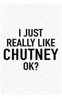 I Just Really Like Chutney Ok?: A 6x9 Inch Matte Softcover Journal Notebook with 120 Blank Lined Pages and a Funny Foodie Feast Cover Slogan