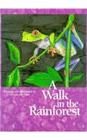 A Walk in the Rainforest