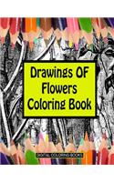 Drawings Of Flowers Coloring Book