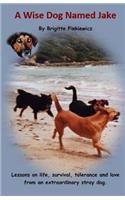 A Wise Dog Named Jake: Lessons on life, survival, tolerance and love from an extraordinary stray dog
