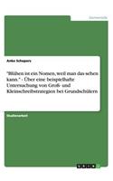 Blühen ist ein Nomen, weil man das sehen kann. - Über eine beispielhafte Untersuchung von Groß- und Kleinschreibstrategien bei Grundschülern: (German)