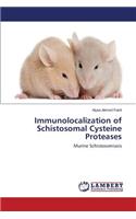Immunolocalization of Schistosomal Cysteine Proteases
