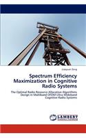 Spectrum Efficiency Maximization in Cognitive Radio Systems