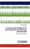 Constructed Wetland for the Treatment of Brewery Wastewater