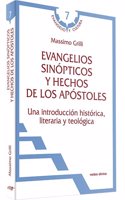 Evangelios sinopticos y Hechos de los Apostoles: Una introduccion historica, literaria y teologica