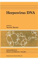 Herpesvirus DNA