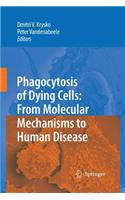 Phagocytosis of Dying Cells