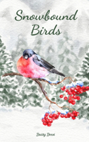 Snowbound Birds
