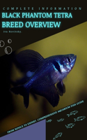 Black Phantom Tetra
