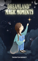 Magic Moments in Dreamland