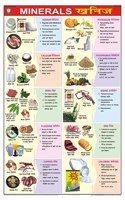 Teachingnest | Minerals Chart (70X100Cm) | Food And Nutrition Chart | Wall Sticking | English - Hindi Combined