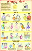 Typhoid Chart