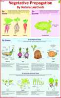 Vegetative Propagation
