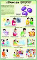 Influenza Chart