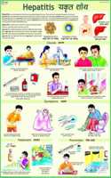 Hepatitis Chart