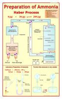 Preparation Of Ammonia & Manufacture Of Ammonia Using Haber'S Process