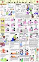 Learn Kannada Through Tamil, Learn Telugu Through Tamil, Learn Hindi Through Tamil, Learn Malayalam Through Tamil, Set Of 4 Books