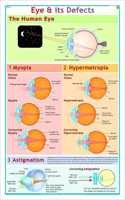 Eye & Its Defects ( Myopia, Hypermetropia & Astigmatism )