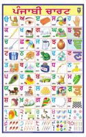 Punjabi Alphabet (Size 70 X 100 Cms)|Laminated Both Sides